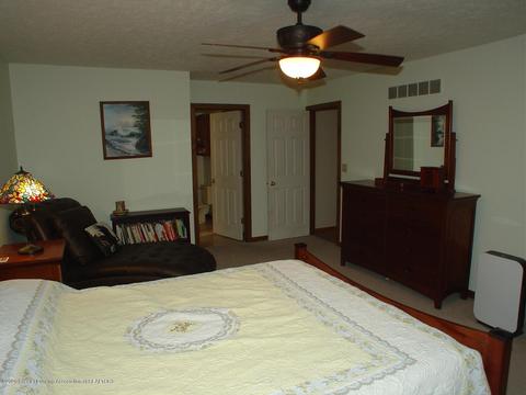 707 Larchmont St, Dewitt, MI 48820 photo 24