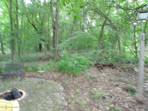 707 Larchmont St, Dewitt, MI 48820 photo 62