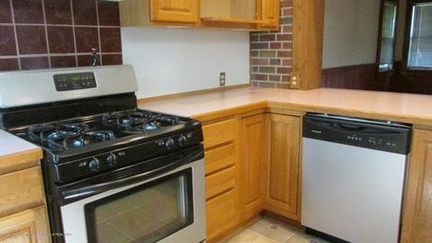 437 E Ash St, Mason, MI 48854 photo 10