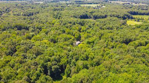 7750 Lovejoy Rd, Perry, MI 48872 photo 51