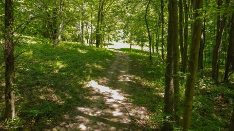 7750 Lovejoy Rd, Perry, MI 48872 photo 53