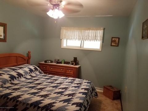 210 E Maple St, Elsie, MI 48831 photo 32
