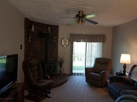 210 E Maple St, Elsie, MI 48831 photo 13