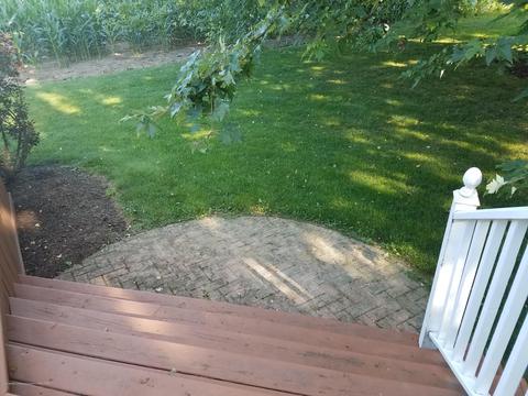 210 E Maple St, Elsie, MI 48831 photo 6