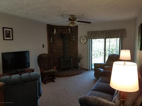 210 E Maple St, Elsie, MI 48831 photo 11