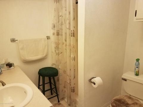 210 E Maple St, Elsie, MI 48831 photo 35