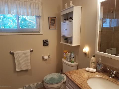 210 E Maple St, Elsie, MI 48831 photo 24