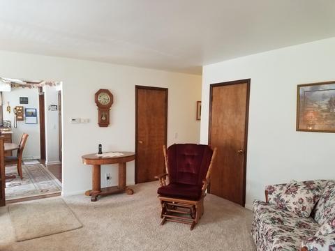 210 E Maple St, Elsie, MI 48831 photo 22