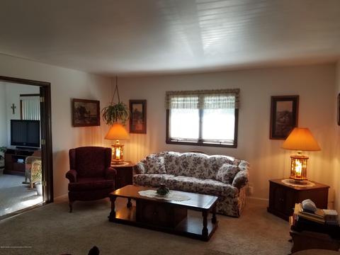 210 E Maple St, Elsie, MI 48831 photo 23