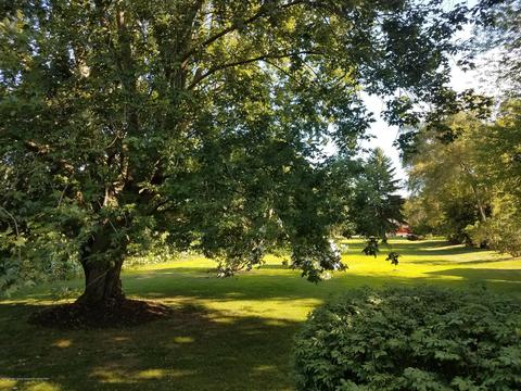 210 E Maple St, Elsie, MI 48831 photo 45