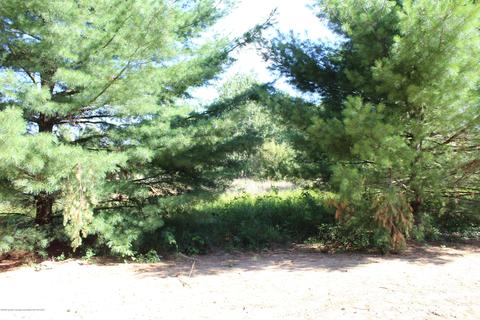 803 Starlight Way, Perry, MI 48872 photo 28