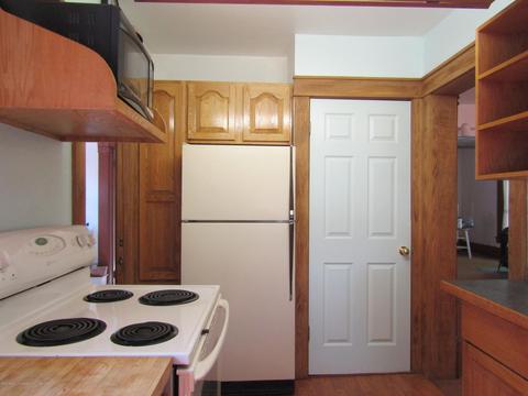 503 E Middle St, Williamston, MI 48895 photo 21