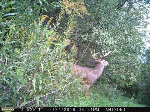 1165 Harper Rd, Mason, MI 48854 photo 73