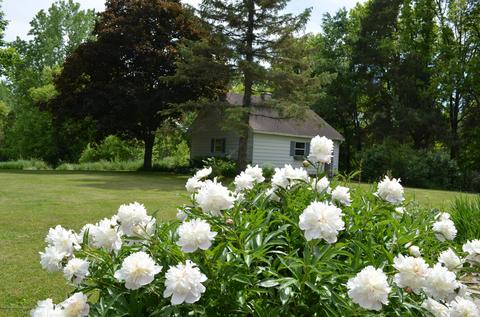 1165 Harper Rd, Mason, MI 48854 photo 66