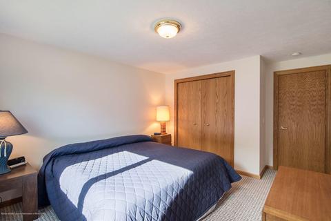 3310 E Broadmoor Dr, Lansing, MI 48906 photo 28