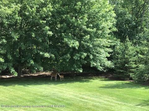 3310 E Broadmoor Dr, Lansing, MI 48906 photo 44