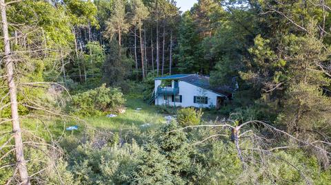 9911 Stoll Rd, Haslett, MI 48840 photo 14