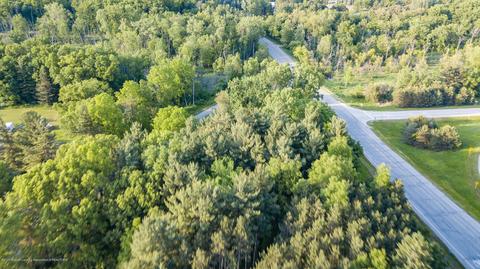 9911 Stoll Rd, Haslett, MI 48840 photo 17