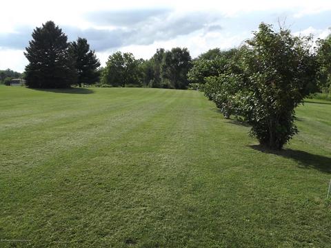 5758 Marshall Rd, Olivet, MI 49076 photo 16