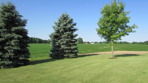 2583 Harper Rd, Mason, MI 48854 photo 35