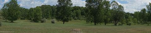 6415 Red Fox Ln, Perry, MI 48872 photo 46