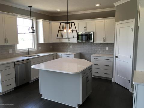 11680 Murano Dr, Dewitt, MI 48820 photo 7