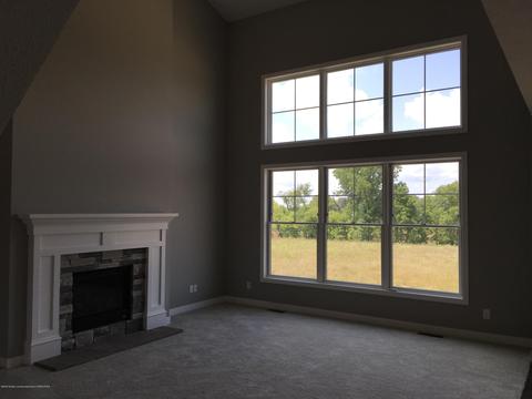 11680 Murano Dr, Dewitt, MI 48820 photo 3