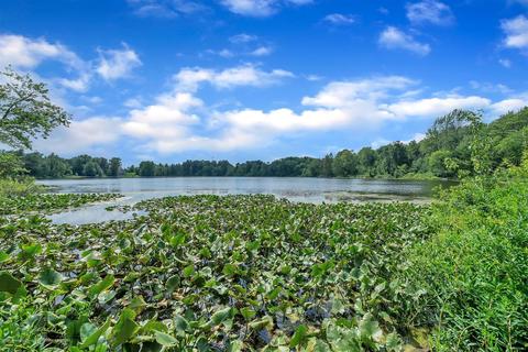 8250 Loomis Rd, Dewitt, MI 48820 photo 63