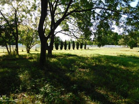 4093 Harper Rd, Mason, MI 48854 photo 9