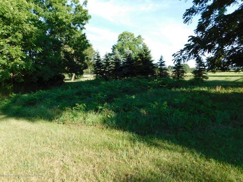 4093 Harper Rd, Mason, MI 48854 photo 7