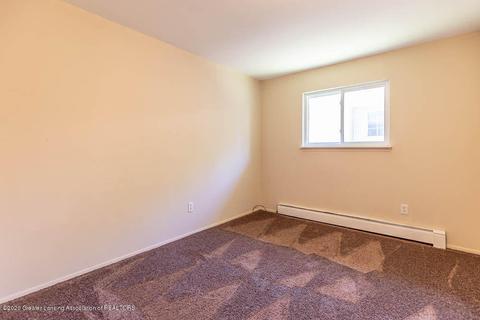 125 E Third St, Morrice, MI 48857 photo 14