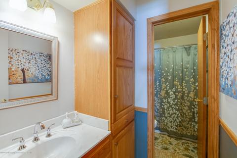 111 N Logan, Dewitt, MI 48820 photo 28