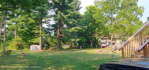 109 E Webb Dr, Dewitt, MI 48820 photo 3