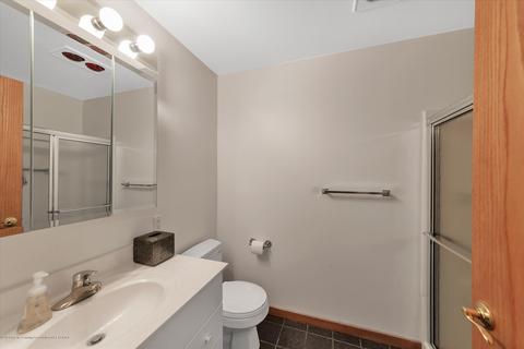 4800 Malpaso Ln, Lansing, MI 48917 photo 46