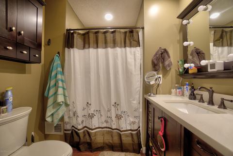 1140 Barry Rd, Haslett, MI 48840 photo 48