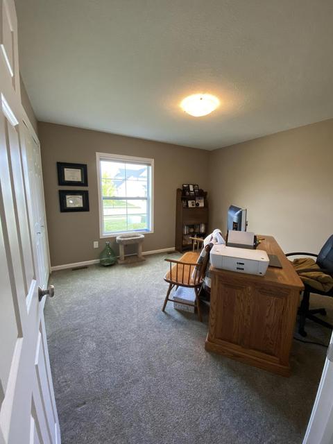 1204 Verbena Ln, Dewitt, MI 48820 photo 24