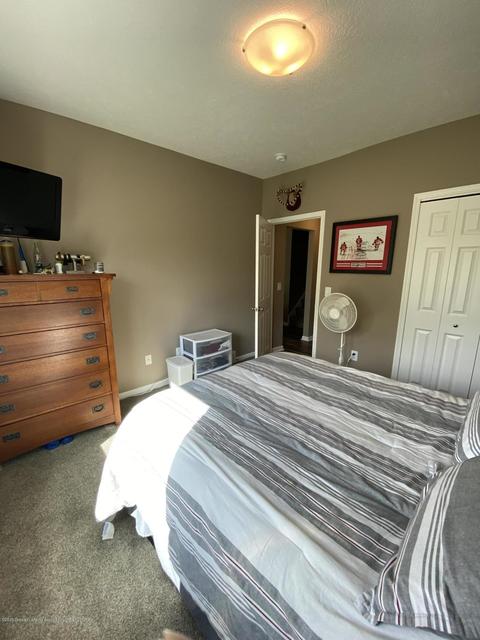 1204 Verbena Ln, Dewitt, MI 48820 photo 33