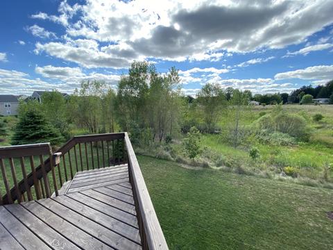 1204 Verbena Ln, Dewitt, MI 48820 photo 37