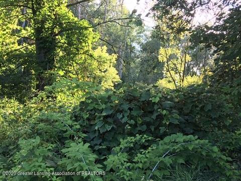 7910 Beardslee Rd, Owosso, MI 48867 photo 19