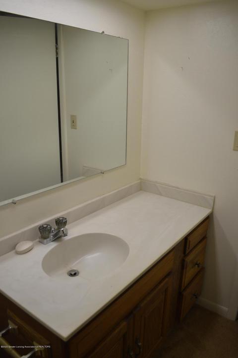 2022 Blue Lac Dr, Haslett, MI 48840 photo 19