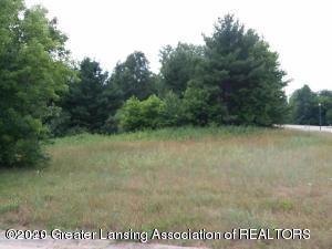709 Star Light Way, Perry, MI 48872 photo 1