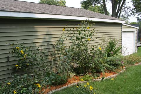 316 N Madison St, Perry, MI 48872 photo 38