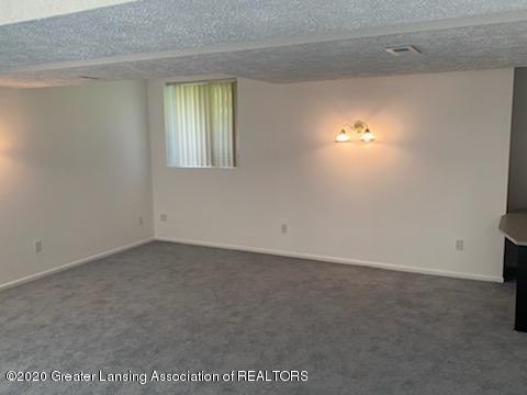 11796 Silverspring Dr, Dewitt, MI 48820 photo 22