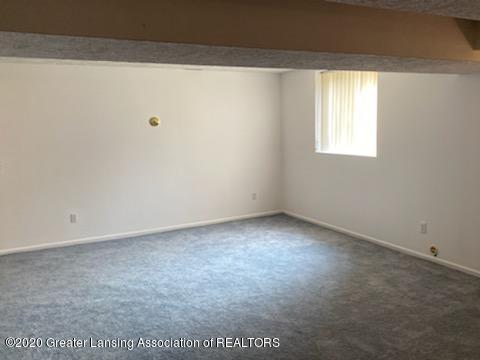 11796 Silverspring Dr, Dewitt, MI 48820 photo 24