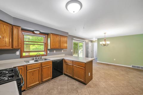 6590 Williams Rd, Dimondale, MI 48821 photo 14