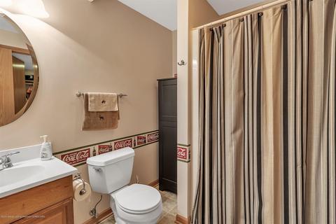 1637 W Alward Rd, Dewitt, MI 48820 photo 42