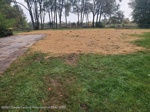 1009 E Webb Rd, Dewitt, MI 48820 photo 1