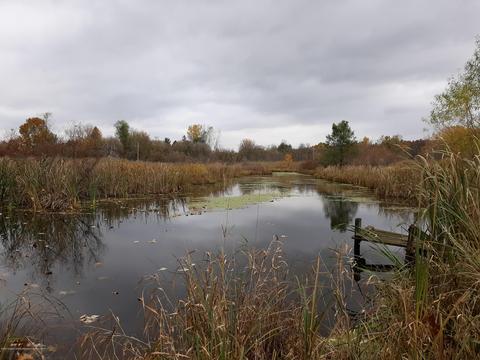 865 Barry Rd, Haslett, MI 48840 photo 37