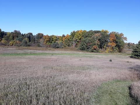 865 Barry Rd, Haslett, MI 48840 photo 62