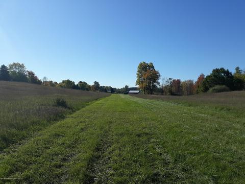 865 Barry Rd, Haslett, MI 48840 photo 57